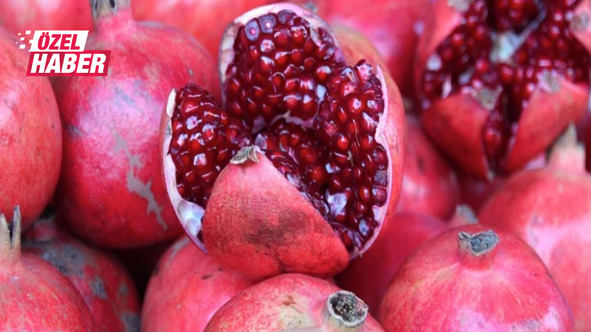 Şanlıurfalıların tescilli lezzeti: Bağışıklıktan kalbe faydaları saymakla bitmiyor