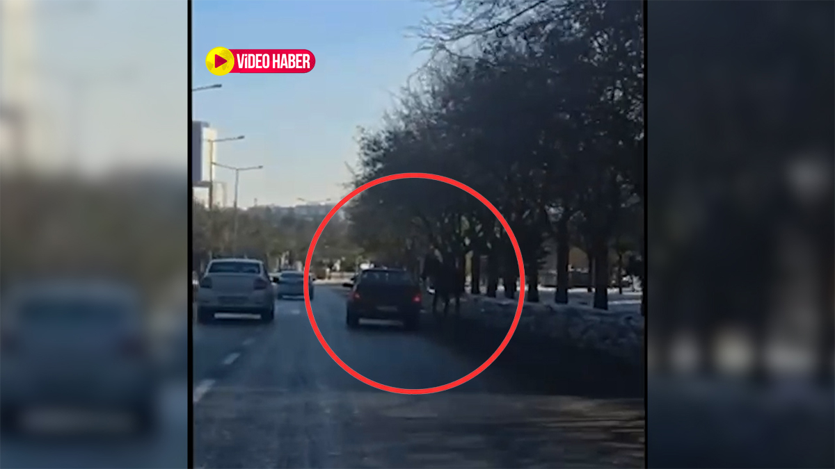 Pes dedirten görüntüler Şanlıurfa'dan: Atı aracına bağladı yola çıktı!