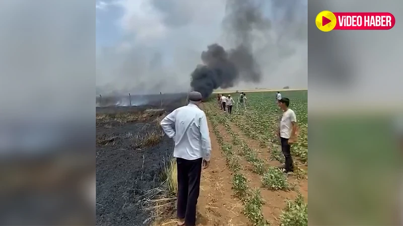 Şanlıurfa'da yangın felaketi: Onlarca dönüm tarla küle döndü!