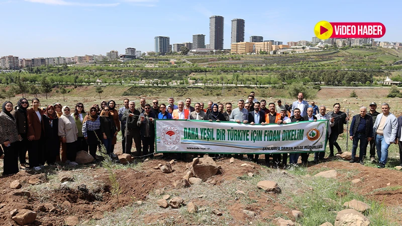 Günbegi: Kıyamet kopacağını bilseniz dahi son fidanı dikin