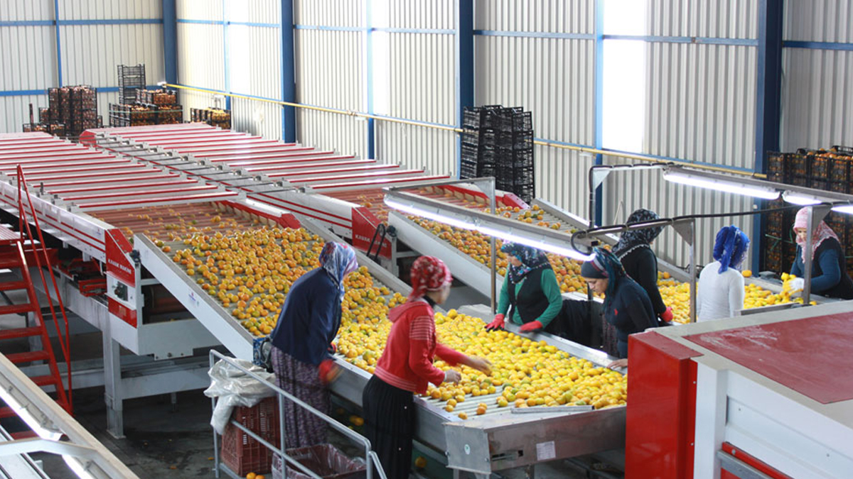 25 ülkeye ihracat yapıyordu! Türkiye'nin gıda devi iflasın eşiğinde