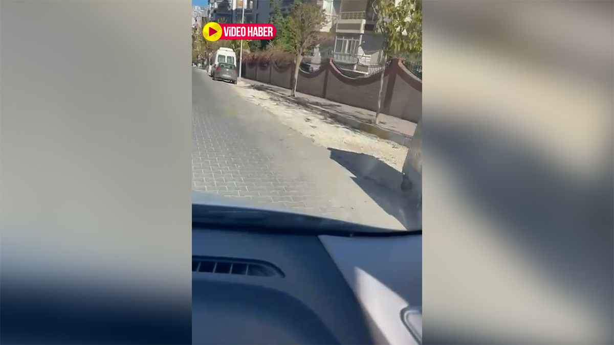 Şanlıurfa’nın bu mahallesinde yollar köstebek yuvasına döndü
