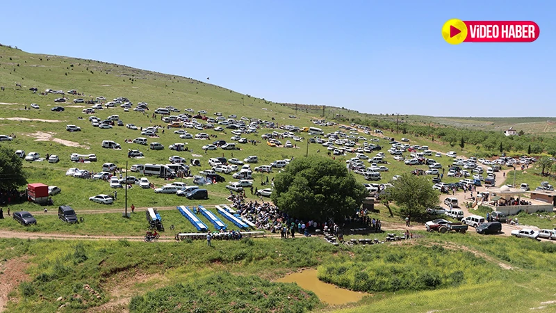 Sabahın ilk ışıklarıyla başladı, binler akın etti: Şanlıurfa’da 82 yıldır aynı sofra