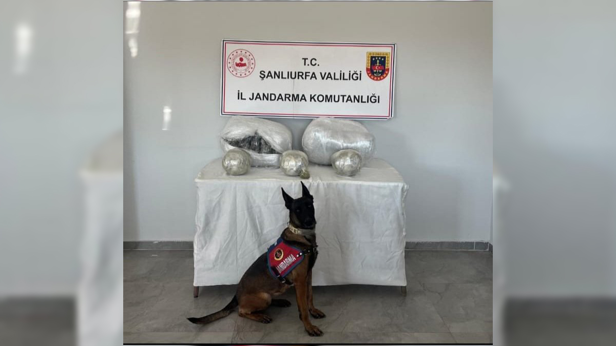 Şanlıurfa’da kilolarca zehir ele geçirildi! 1 gözaltı