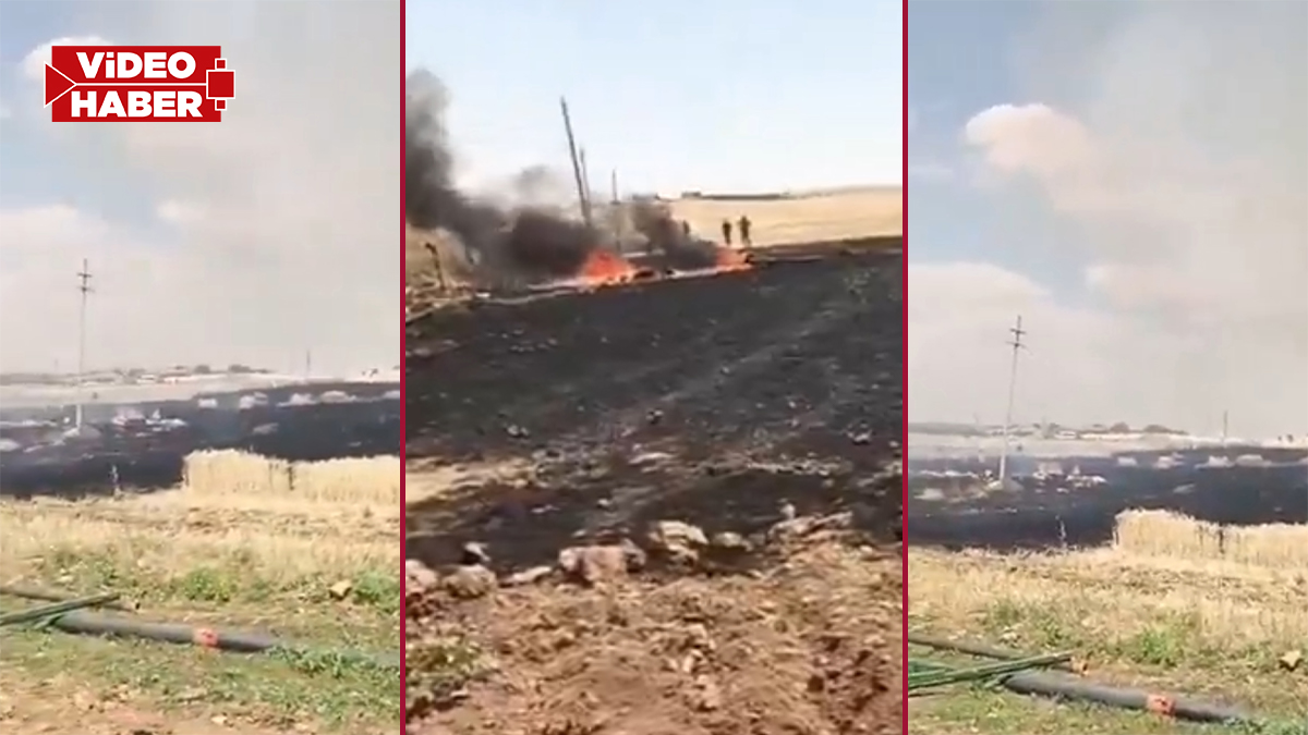 Şanlıurfa’da yanan tarlada kazma ve küreklerle seferber oldular: 50 dönüm arazi kül oldu