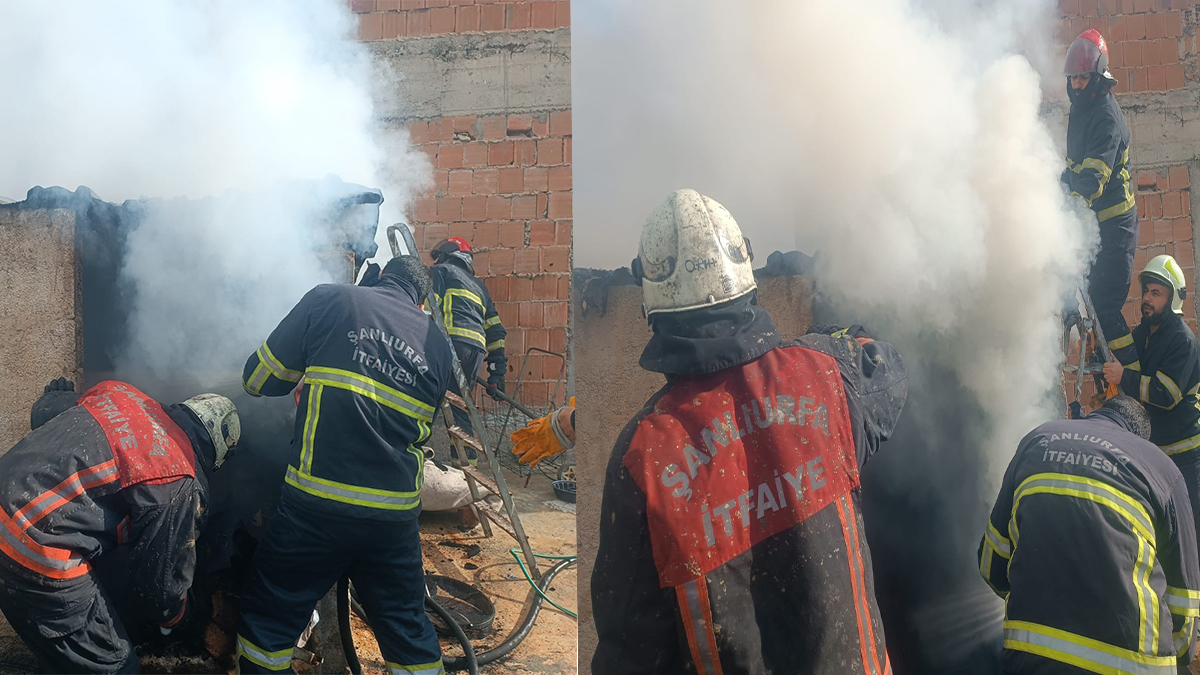 Şanlıurfa'da yangın paniği: Mesken yerini alevler sardı