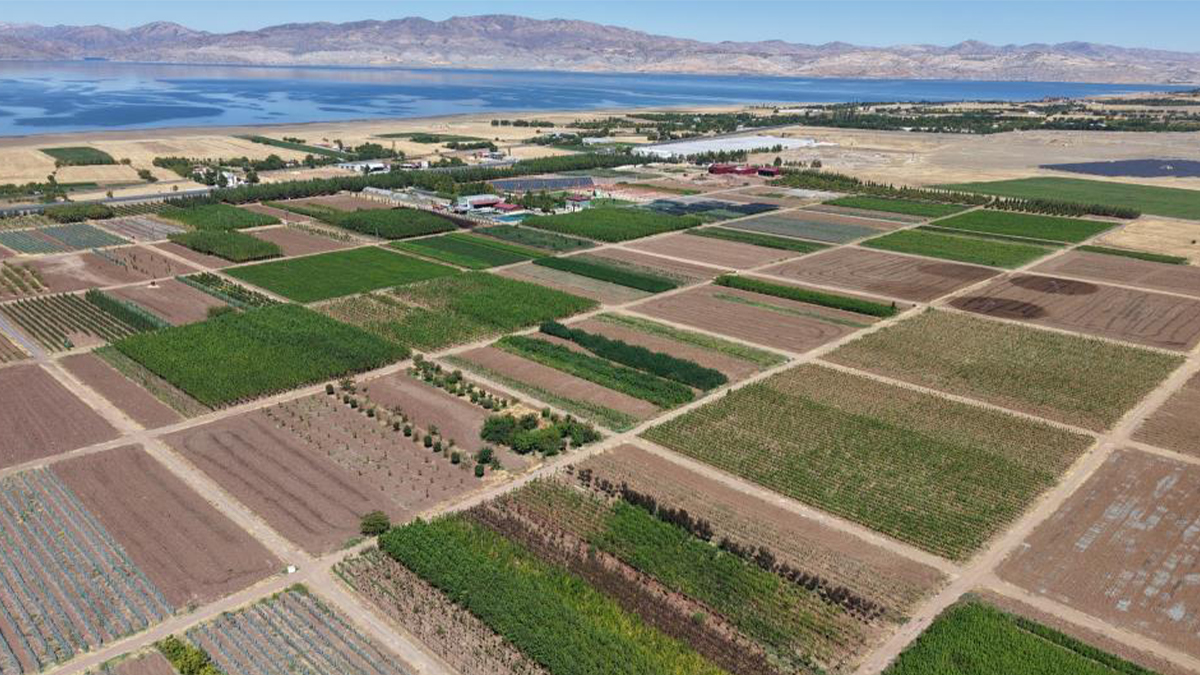 Elazığ’da yetişen fidanlar Şanlıurfa'da hayat buluyor