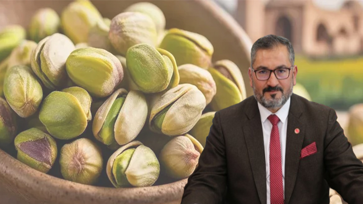 Şanlıurfa fıstık üreticilerinden ihalat kararına tepki: Çiftçi zarar görebilir