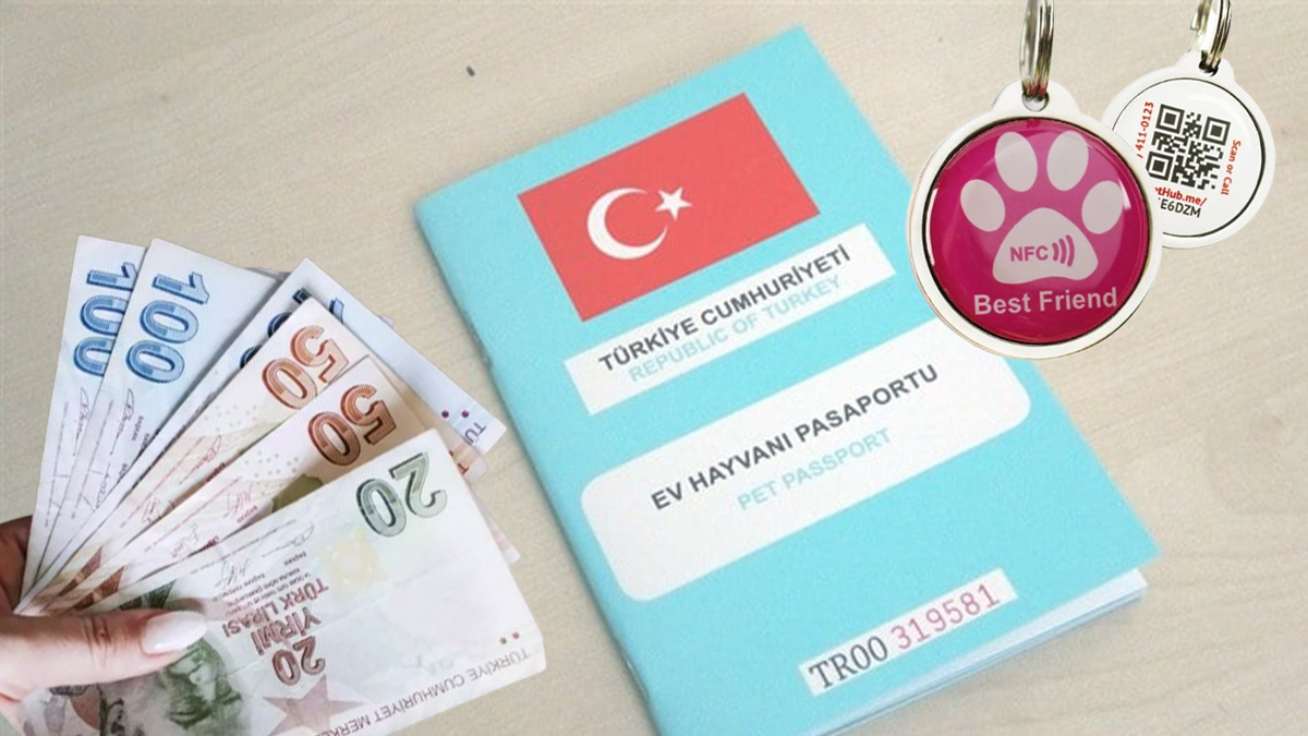 Şanlıurfa'da yapmayanlar 8 bin lirayı gözden çıkaracak! Son gün 31 Aralık