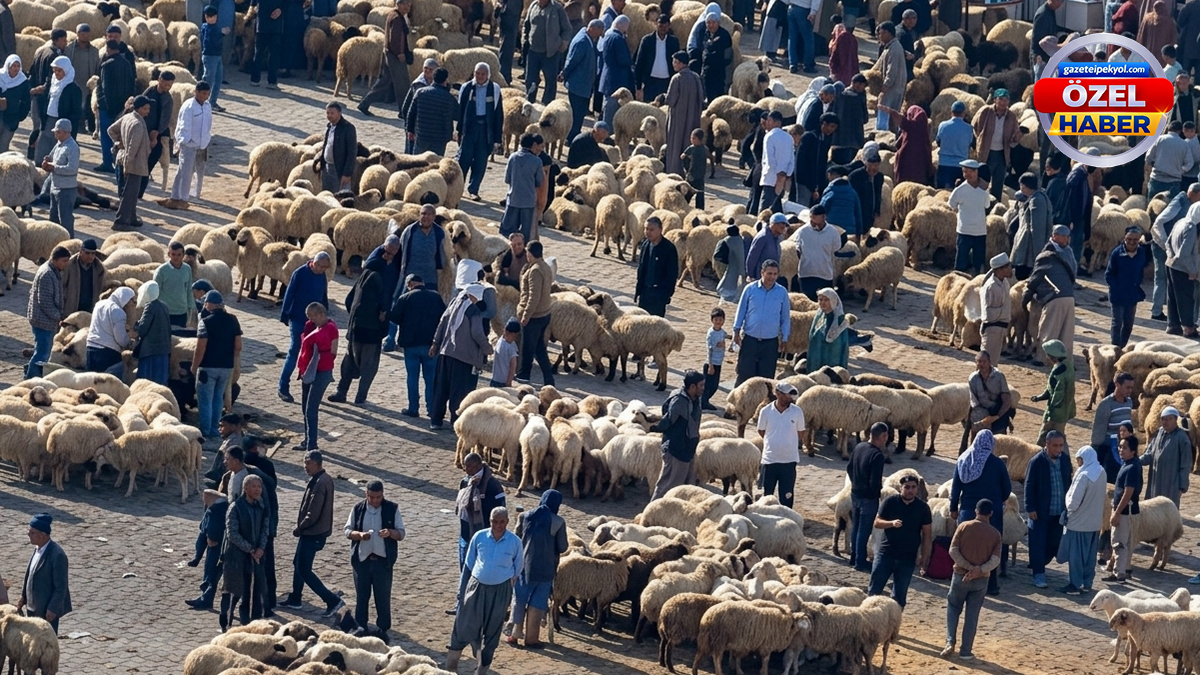 Şanlıurfa’da kurban pazarlarında ilk gün yoğunluğu!