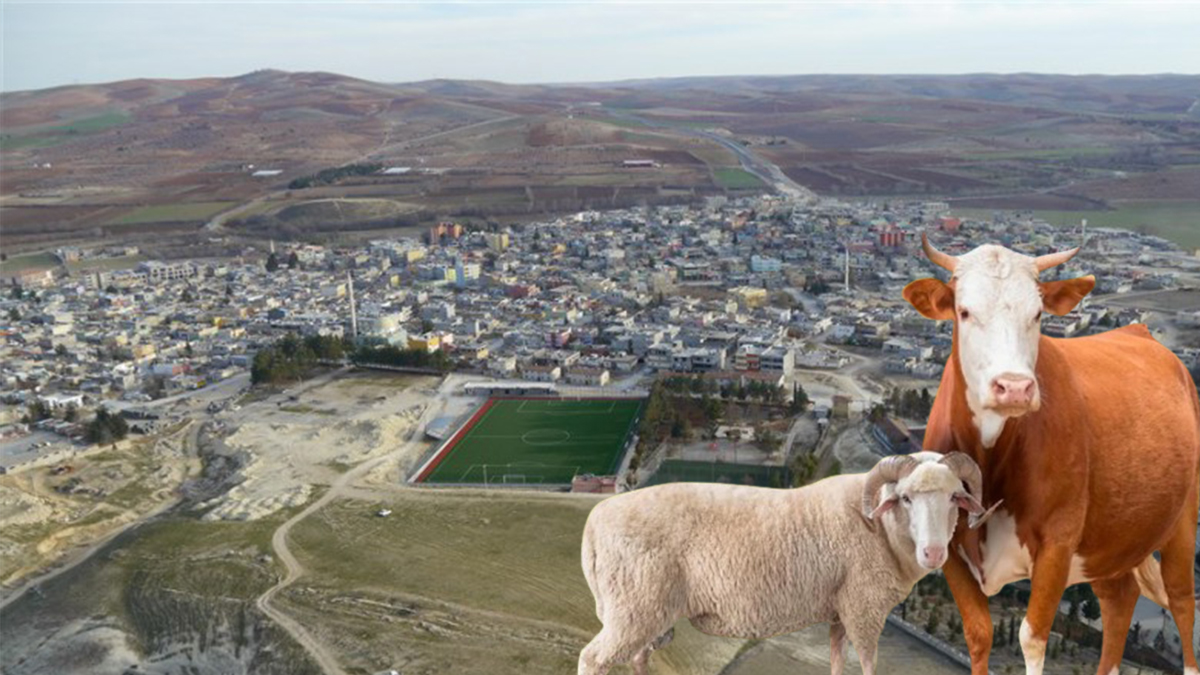 Belediye ismini kullanıp bunu da yaptılar! Şanlıurfa’da bayramda akılalmaz kurnazlık