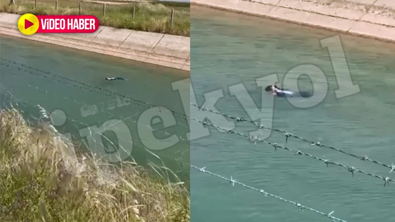 Şanlıurfa’da yürekler ağza geldi! Küçük çocuk kanala düştü