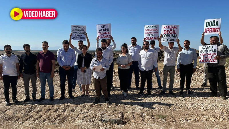 Bozova’da ağaç katliamı ve rant iddiası!