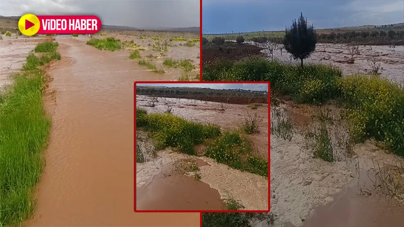 Şanlıurfa’da sağanak etkili oldu! Kırsal mahallelerde tarlalar su altına kaldı