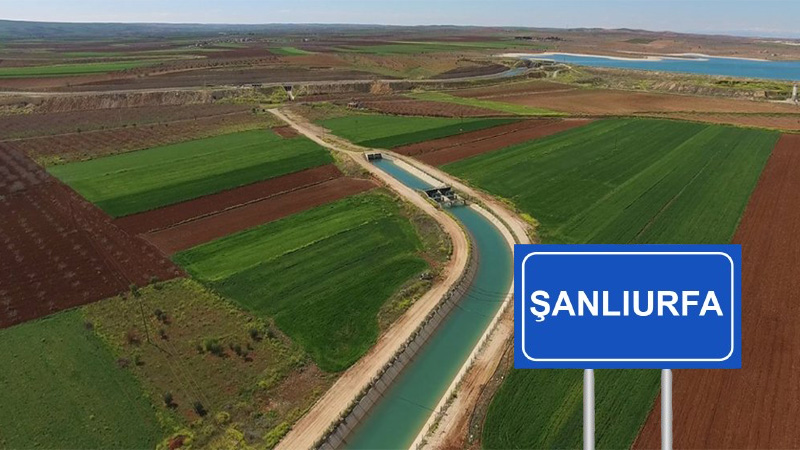 Bunu yapmayan tarla sahiplerine kötü haber! Ellerinden gidecek…