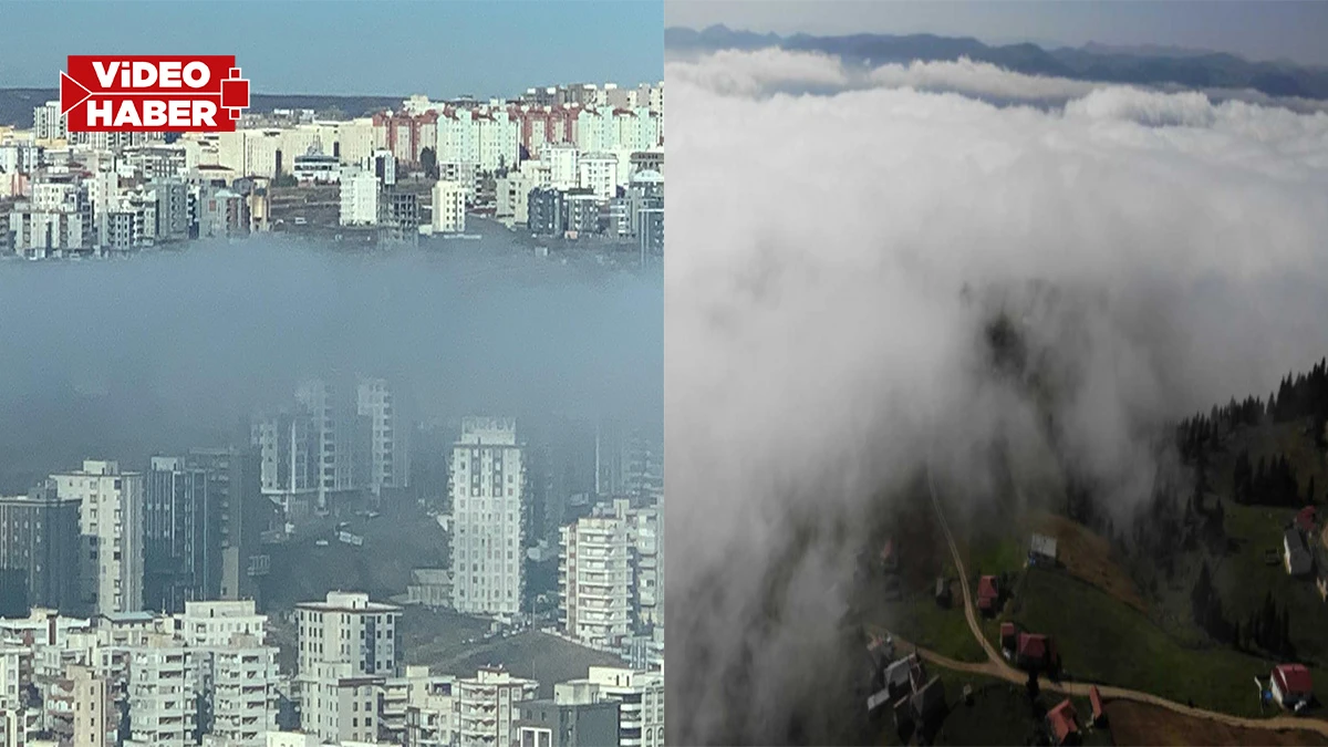 Burası Karadeniz değil Şanlıurfa! Gören hayran kaldı