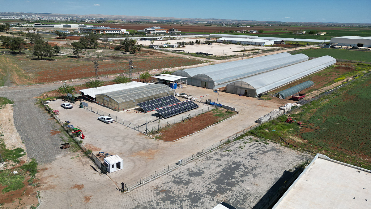 Şanlıurfalı çiftçilere müjde! Büyükşehir binlercesini ücretsiz dağıtacak…