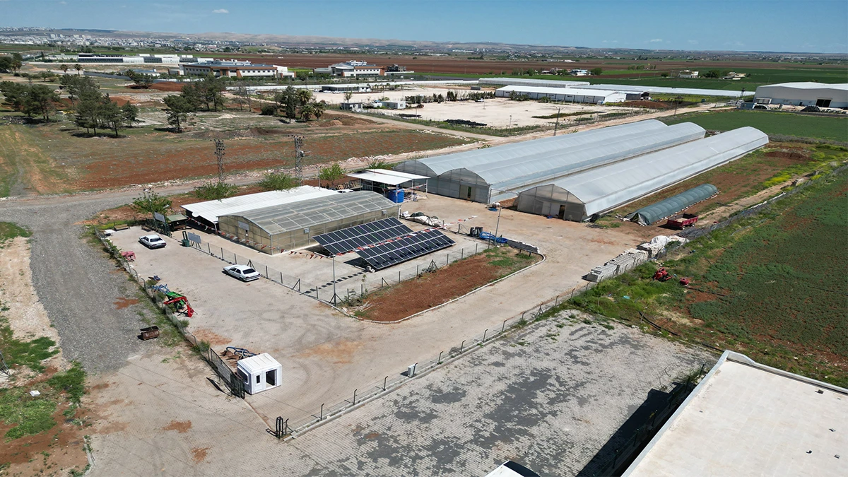 Şanlıurfalı çiftçilere müjde! Büyükşehir binlercesini ücretsiz dağıtacak…