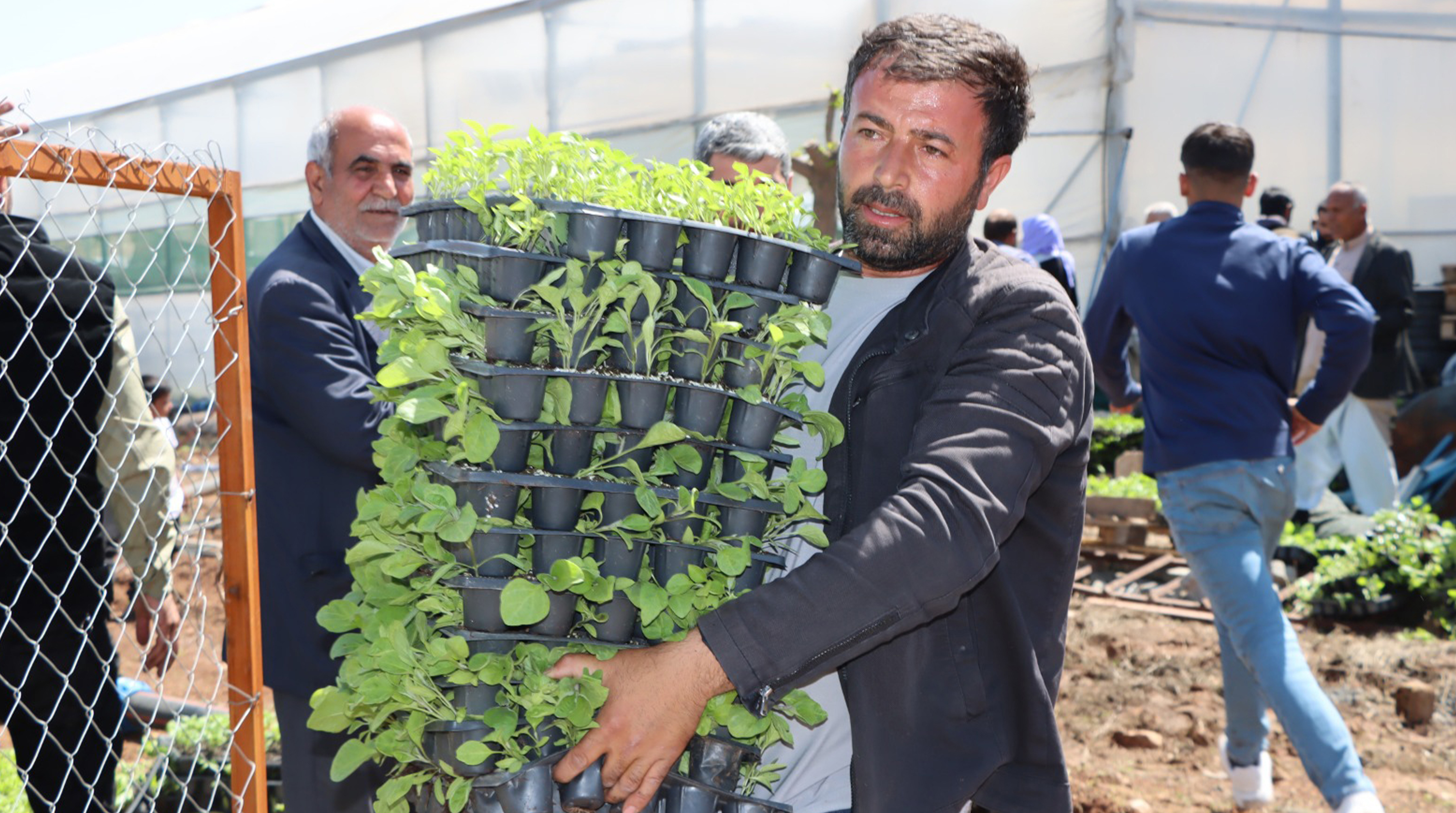 Şanlıurfa'da tarımda büyük destek: 1 milyon tane dağıtıldı