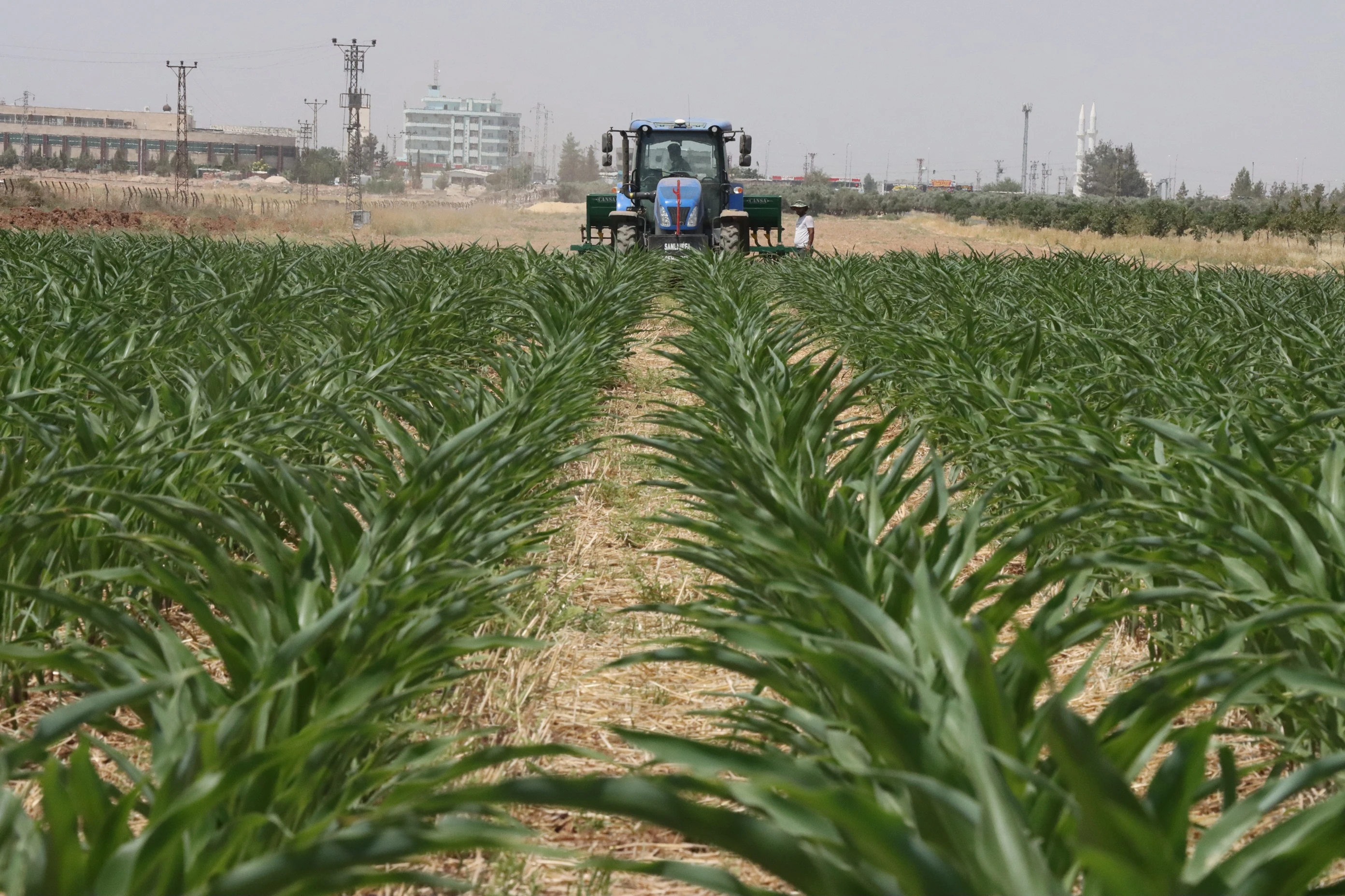 Büyükşehir'den modern tarım atağı!