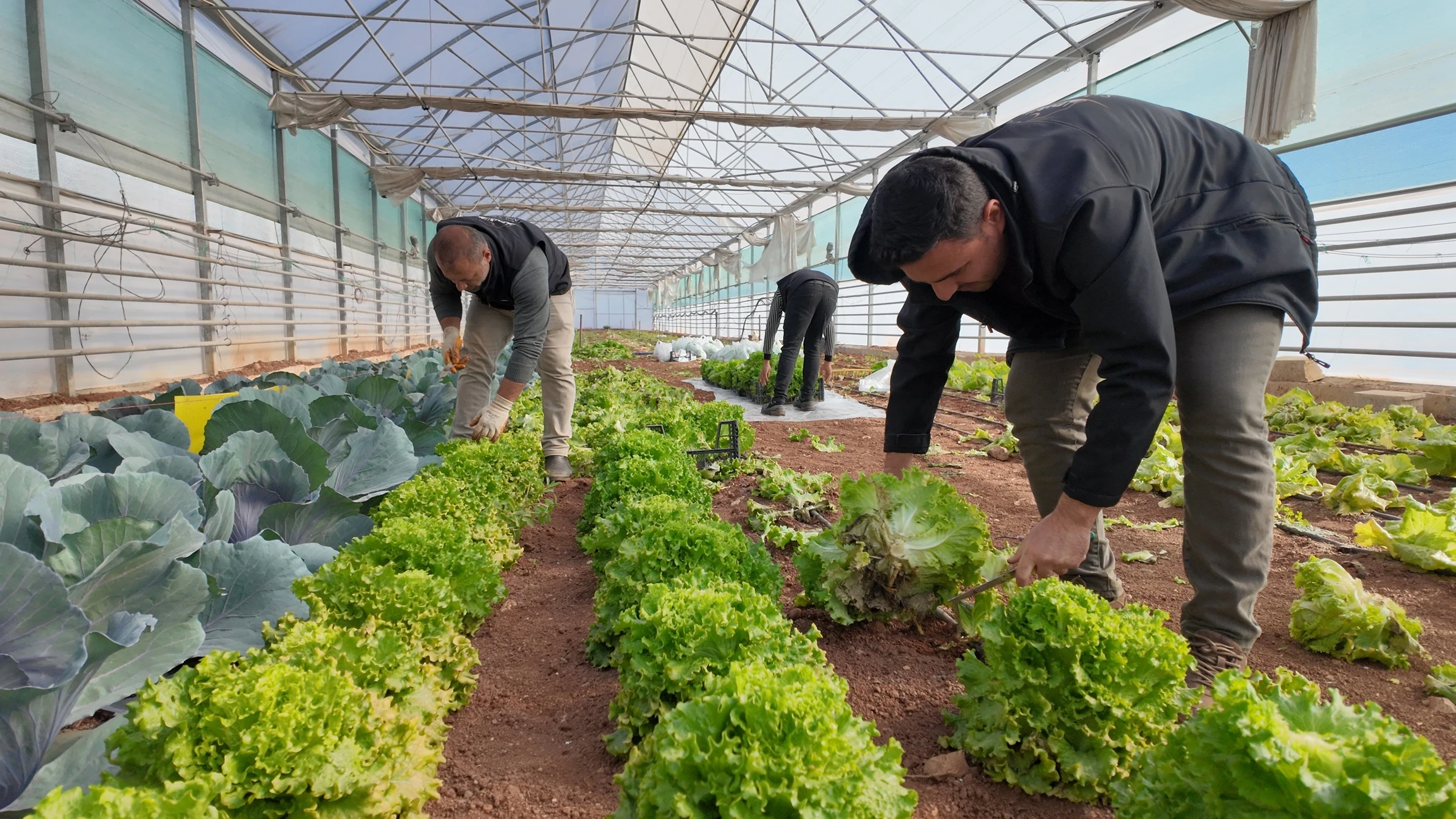 Şanlıurfa’da dar gelirli ailelere kış sürprizi!