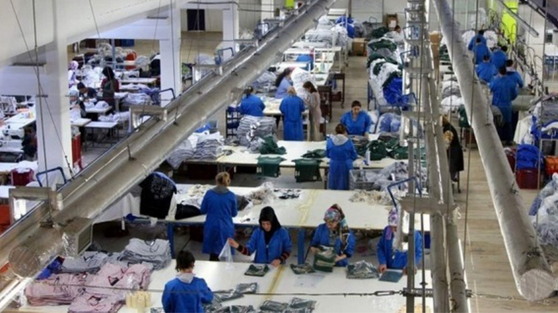İstihdam oranı açıklandı! Gençlerin yarısı işsiz