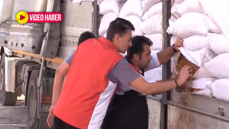 Suriye’den Şanlıurfa’ya tonlarca getirdiler! Vatandaşa yedireceklerdi…