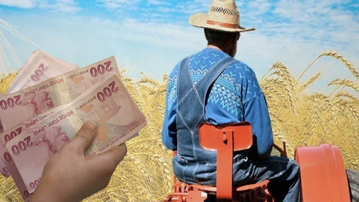 Şanlıurfa’daki çiftçilere güzel haber! Ödemeler hesaplara yattı