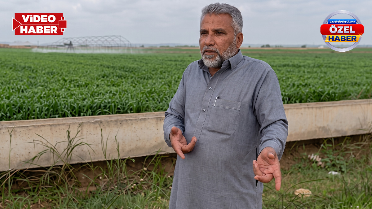 Tarımın geldiği nokta! Ürettikçe zarar eden Şanlıurfalı çiftçi dert yandı