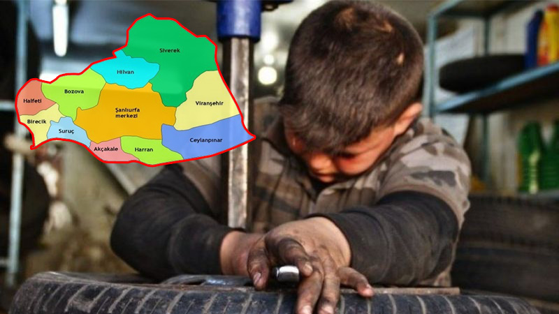 Türkiye’yi korkutan tabloda Şanlıurfa ilk sırada! 54 can…