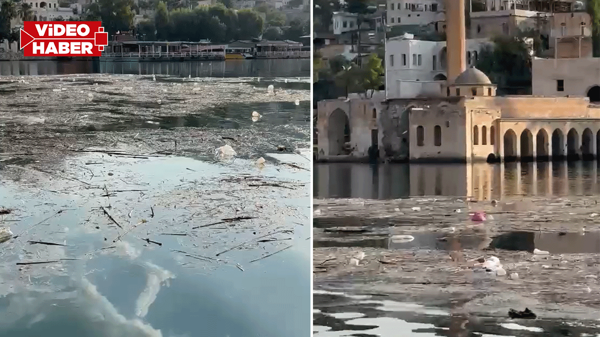 Halfeti’ye bu görüntüler yakışmıyor! Adeta çöp adaları oluştu