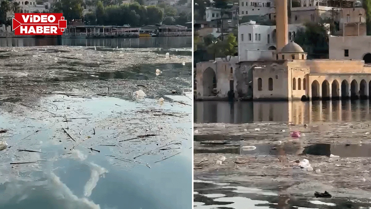 Halfeti’ye bu görüntüler yakışmıyor! Adeta çöp adaları oluştu
