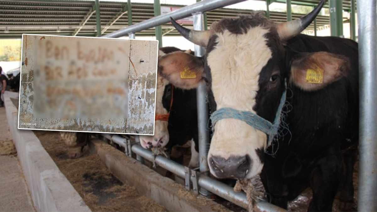Şanlıurfa bu olayı konuşuyor: Hırsızın başına ne geldi de bu notu yazdı?