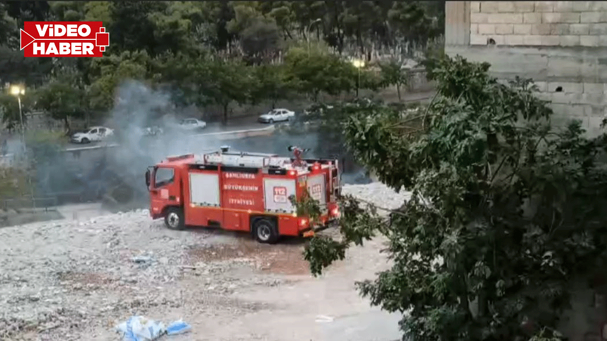 Şanlıurfa’da dere kenarında korkutan yangın! Alevler paniğe neden oldu