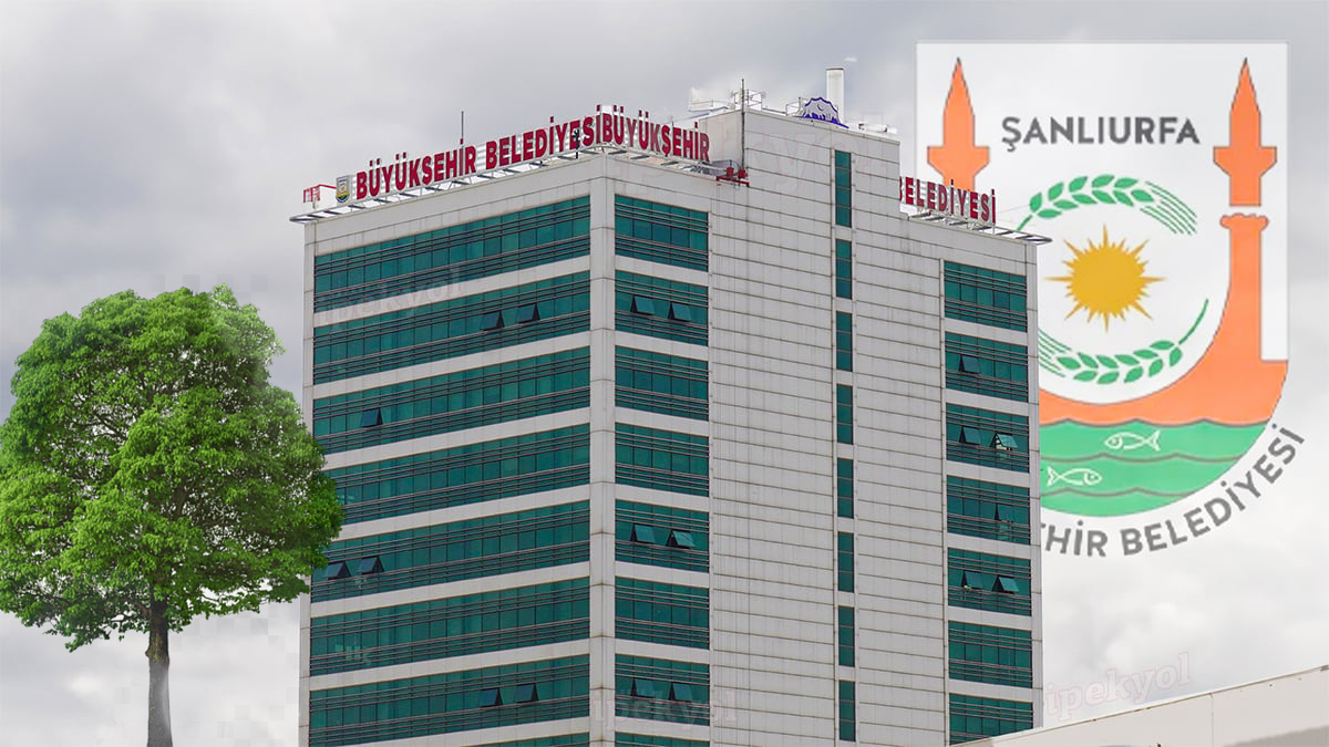 Şanlıurfa’da kavşak çalışmasında ağaçlara zarar! Büyükşehir harekete geçti