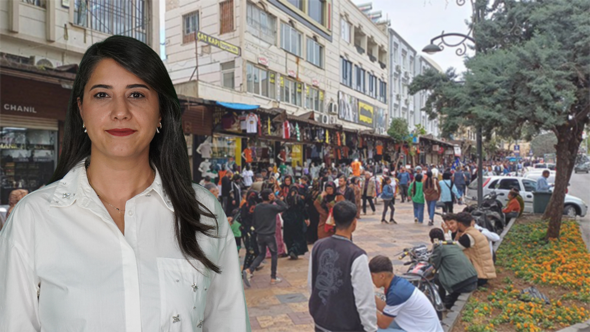 Şanlıurfa payına düşeni istiyor! İşte sağlıktaki talepler