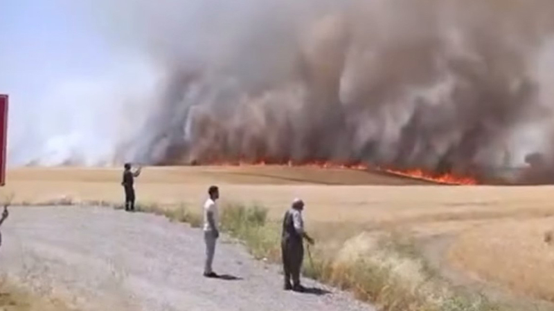 Bin dönüm buğday ve arpa kül oldu