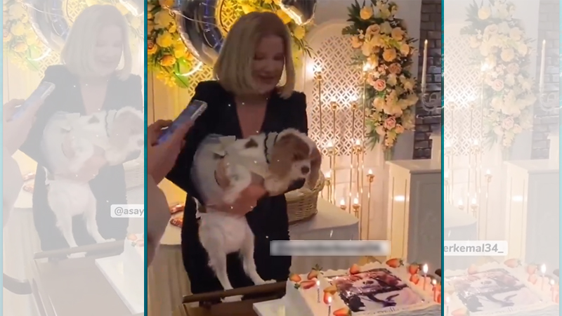 “Gofret”e sıra dışı doğum günü kutlaması! Pasta kestikleri köpeğe hediye verdiler