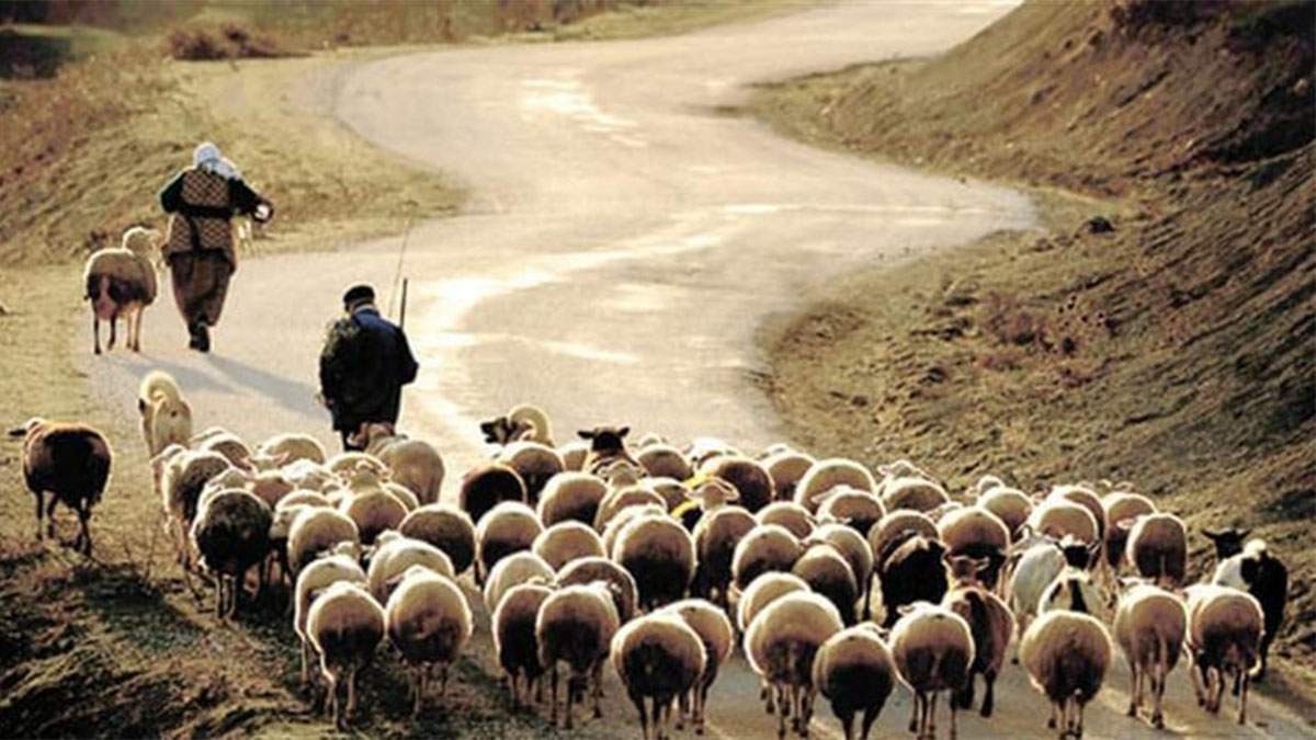 Doktor maaşını solladı, 130 bin TL’ye işçi bulunamıyor