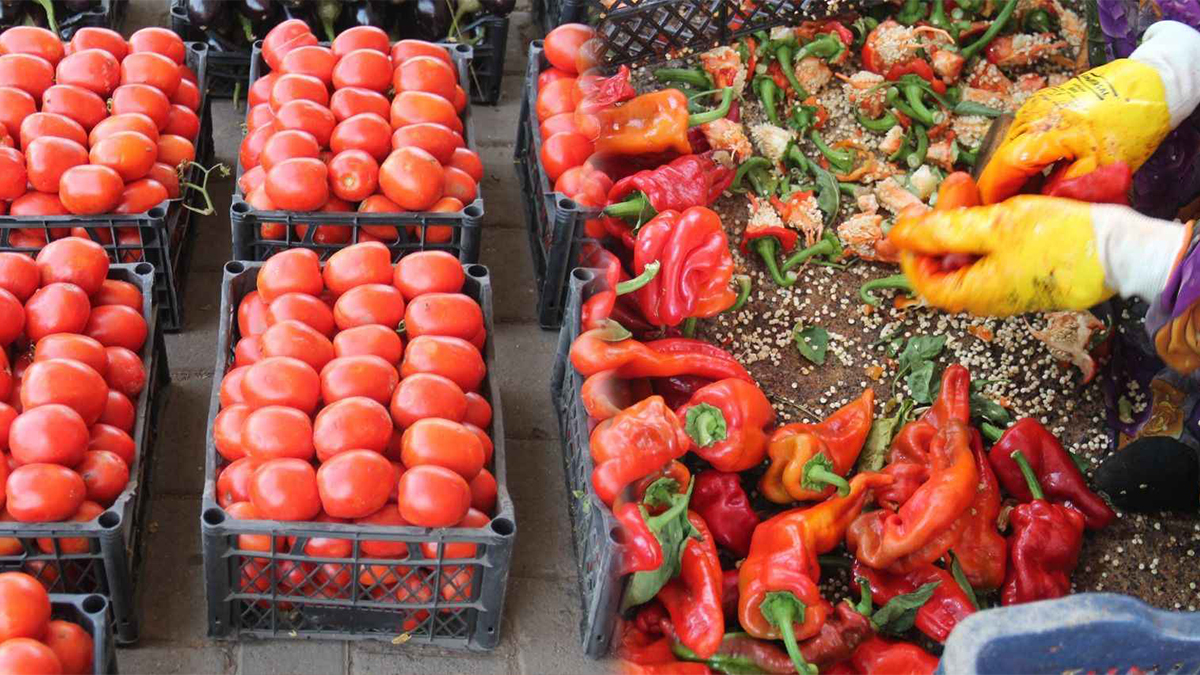 Şanlıurfa’da isot ve salça telaşı sürüyor: İşte güncel fiyatlar…