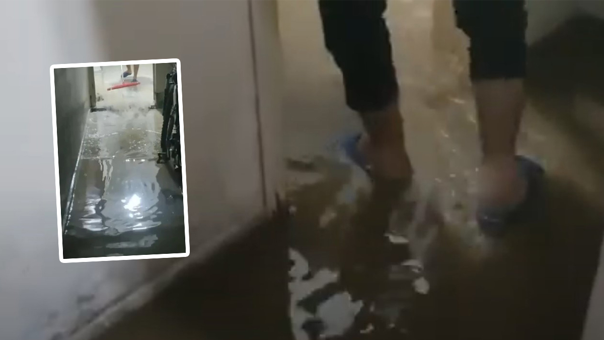 Şanlıurfa’da yağış sonrası su baskını! İki ev su altında kaldı