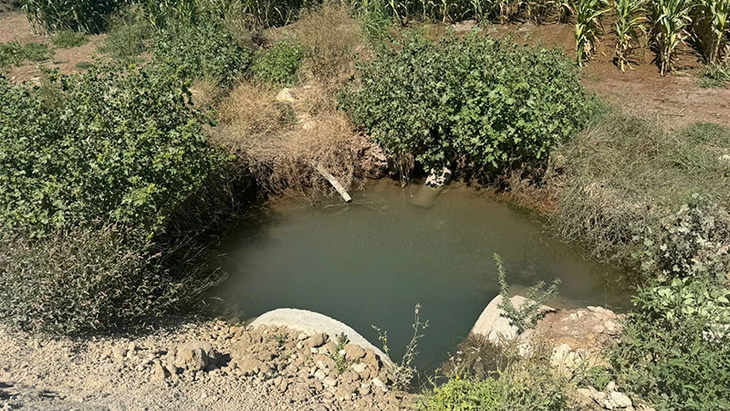 DSİ'nin parasızlığı yüzünden Suruç tehlike altında