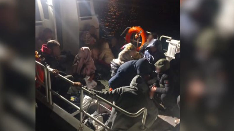 Şanlıurfa'da göçmen kaçakçılığına yönelik operasyon! Tutuklamalar var