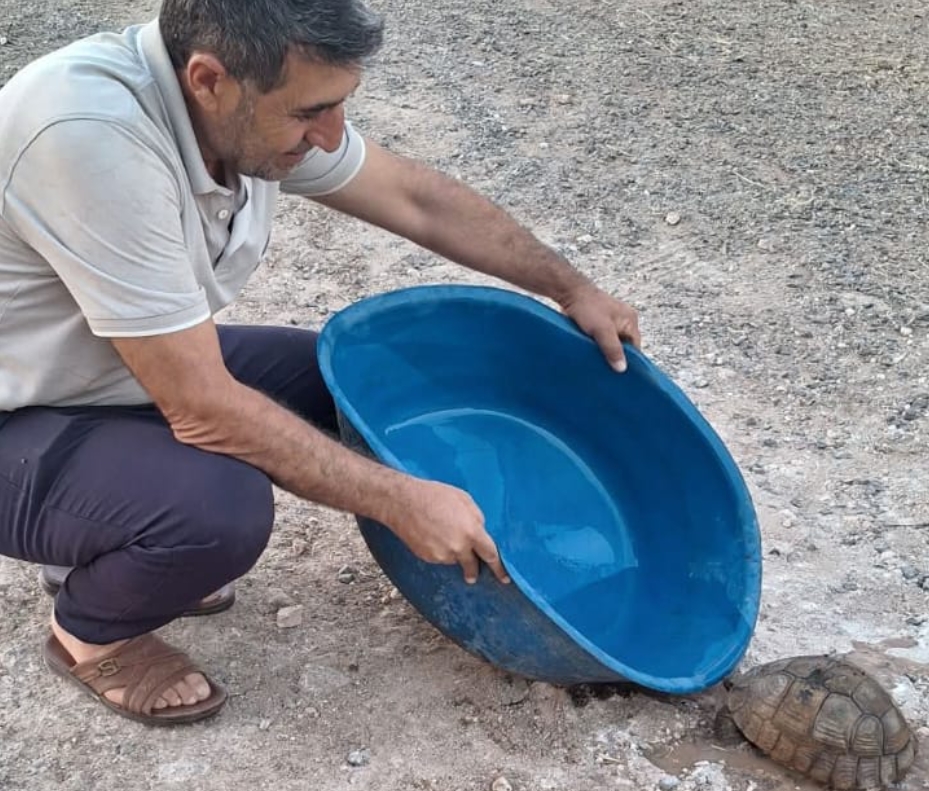 Şanlıurfa sıcaklarında susuzluktan bitkin düşmüştü... İmdadına köylüler yetişti