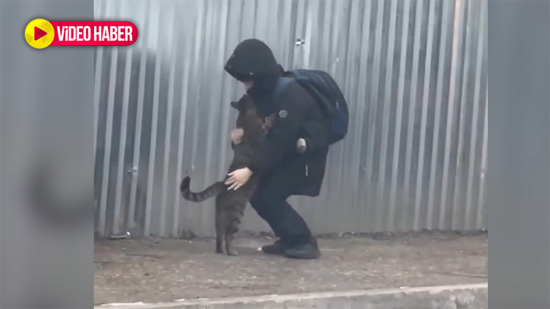 Üşüyen kedi sevgi dolu sıcak kucak bulunca!