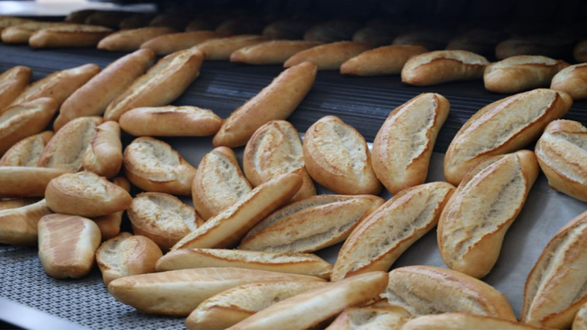 Ekmek tüketiminde Türkiye'nin rakibi yok! Kişi başı 199.6 kg ekmekle dünya birincisiyiz