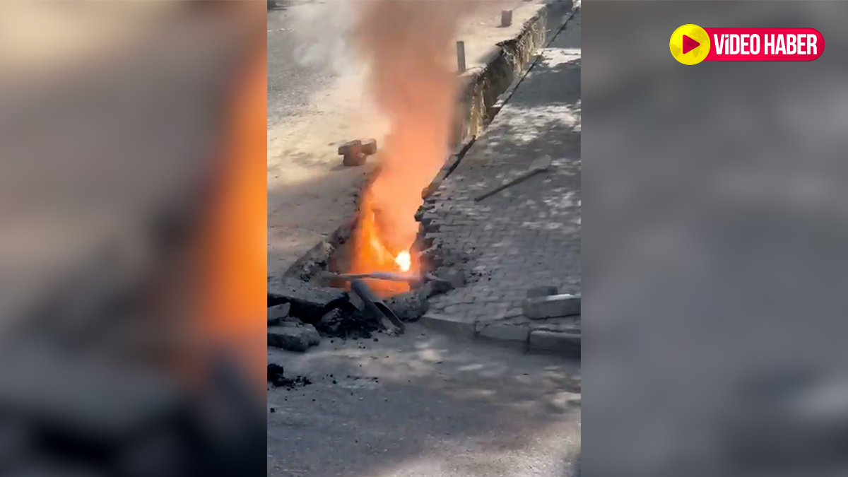 Şanlıurfa'da elektrik kabloları alev aldı!