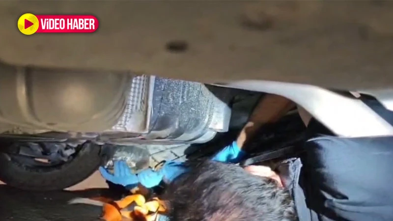 Şanlıurfa’da şüphe üzerine durdurdular! Bakın ne çıktı?