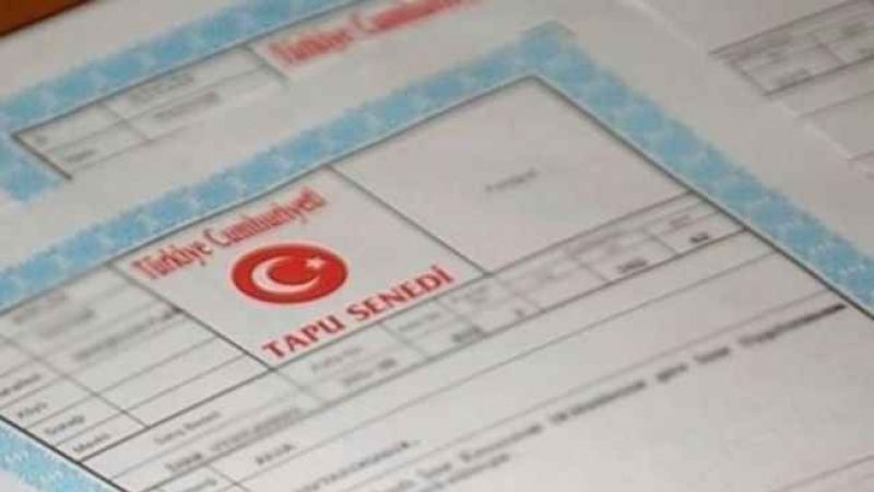 Tapular tehlikede!