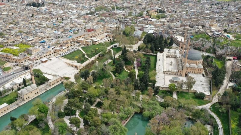 Şanlıurfa’da vatandaşlar bozkır delicesi buldu
